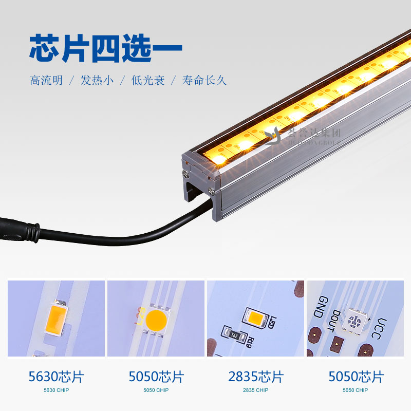 xc sports(中国区)-官方网站