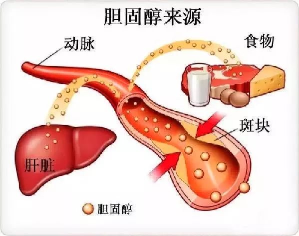南宫NG·28(中国区)相信品牌实力有限公司