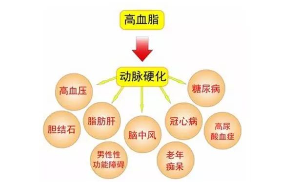 南宫NG·28(中国区)相信品牌实力有限公司