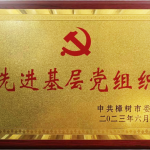 喜报！南宫ng28相信品牌力量党支部荣获市“先进下层党组织”称呼